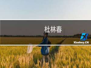 杜林春(关于杜林春的简介)