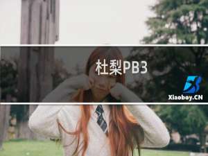 杜梨PB3(关于杜梨PB3的简介)