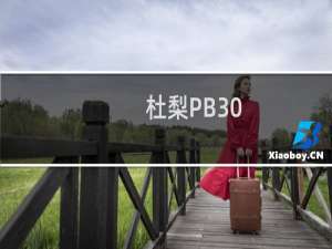 杜梨PB30(关于杜梨PB30的简介)