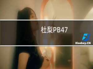 杜梨PB47(关于杜梨PB47的简介)