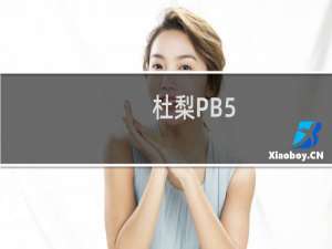 杜梨PB5(关于杜梨PB5的简介)