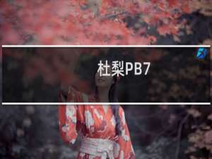 杜梨PB7(关于杜梨PB7的简介)