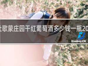 杜歌蒙庄园干红葡萄酒多少钱一瓶2017年的