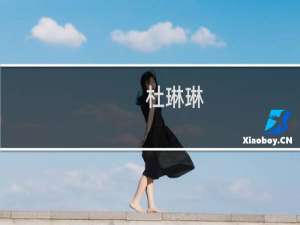 杜琳琳(关于杜琳琳的简介)