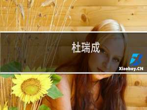 杜瑞成(关于杜瑞成的简介)