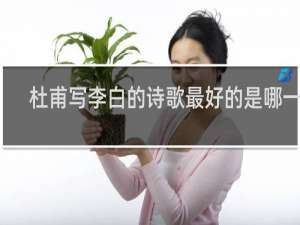 杜甫写李白的诗歌最好的是哪一首