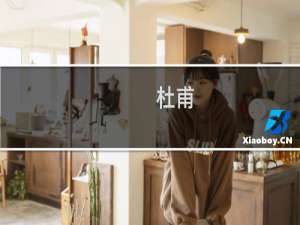 杜甫，毒妇什么梗