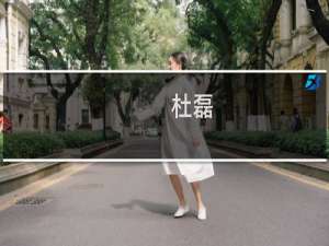 杜磊(关于杜磊的简介)