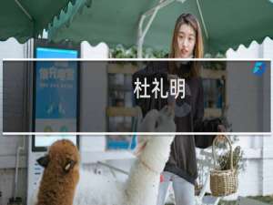 杜礼明(关于杜礼明的简介)