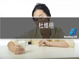 杜维桓(关于杜维桓的简介)