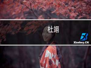 杜翊(关于杜翊的简介)