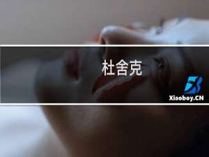 杜舍克(关于杜舍克的简介)