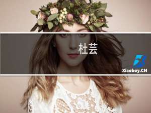 杜芸(关于杜芸的简介)