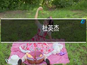 杜英杰(关于杜英杰的简介)