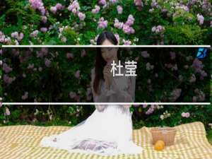 杜莹(关于杜莹的简介)