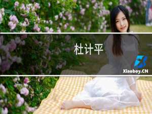 杜计平(关于杜计平的简介)