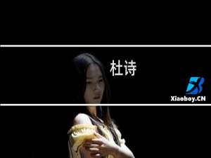 杜诗(关于杜诗的简介)