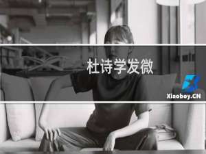 杜诗学发微(关于杜诗学发微的简介)