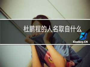 杜鹏程的人名取自什么成语?（杜鹏程的人名取自什么成语源自鹏程万里）