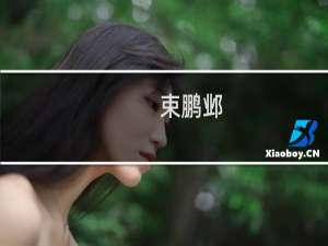 束鹏邺(关于束鹏邺的简介)