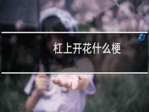 杠上开花什么梗