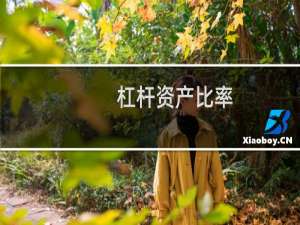 杠杆资产比率(关于杠杆资产比率的简介)