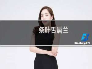 条叶舌唇兰(关于条叶舌唇兰的简介)