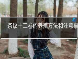 条纹十二卷的养殖方法和注意事项