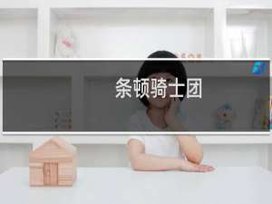 条顿骑士团(关于条顿骑士团的简介)