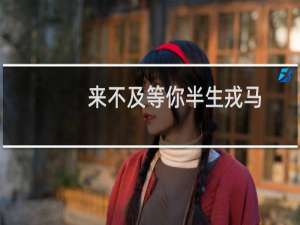来不及等你半生戎马(关于来不及等你半生戎马的简介)