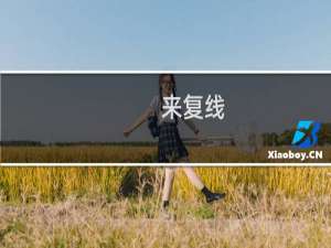 来复线(关于来复线的简介)