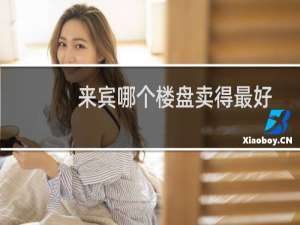 来宾哪个楼盘卖得最好
