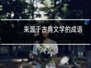 来源于古典文学的成语