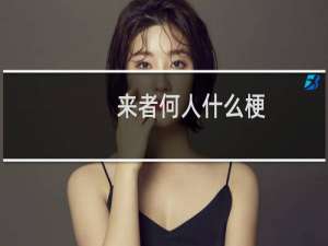来者何人什么梗