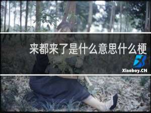 来都来了是什么意思什么梗