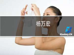 杨万宏(关于杨万宏的简介)