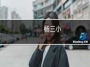 杨三小(关于杨三小的简介)