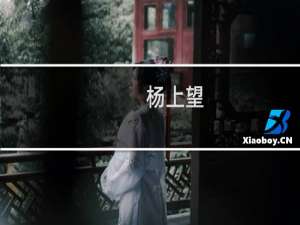 杨上望(关于杨上望的简介)