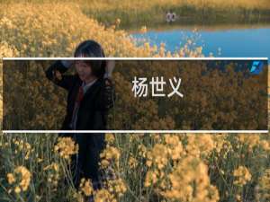 杨世义(关于杨世义的简介)