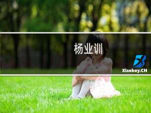 杨业训(关于杨业训的简介)