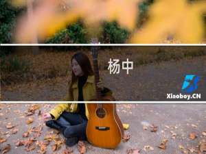 杨中(关于杨中的简介)