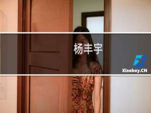 杨丰宇(关于杨丰宇的简介)