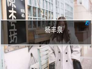 杨丰泉(关于杨丰泉的简介)