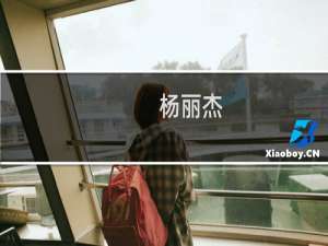 杨丽杰(关于杨丽杰的简介)