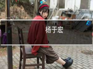 杨于宏(关于杨于宏的简介)