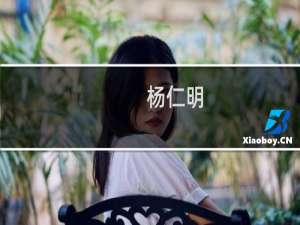 杨仁明(关于杨仁明的简介)