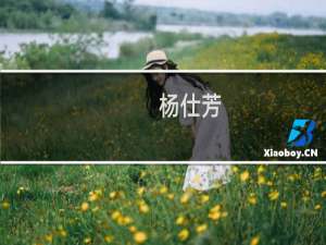 杨仕芳(关于杨仕芳的简介)