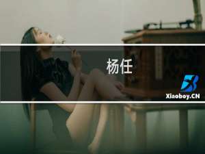 杨任(关于杨任的简介)