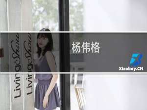 杨伟格(关于杨伟格的简介)