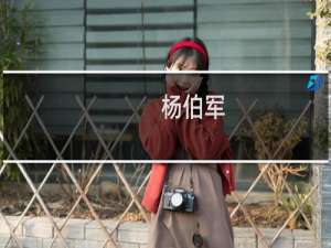 杨伯军(关于杨伯军的简介)